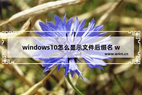 windows10怎么显示文件后缀名 windows10显示文件后缀名方法