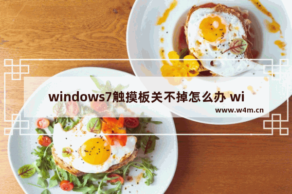 windows7触摸板关不掉怎么办 windows7触摸板关闭不了解决方法