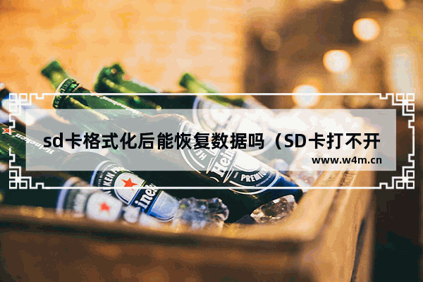 sd卡格式化后能恢复数据吗（SD卡打不开提示格式化怎么办）