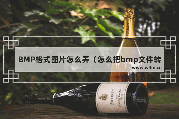 BMP格式图片怎么弄（怎么把bmp文件转换成jpg）