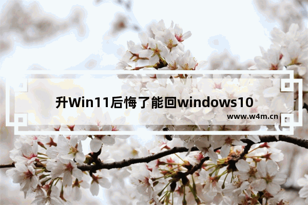 升Win11后悔了能回windows10吗 Win11装回windows10的方法