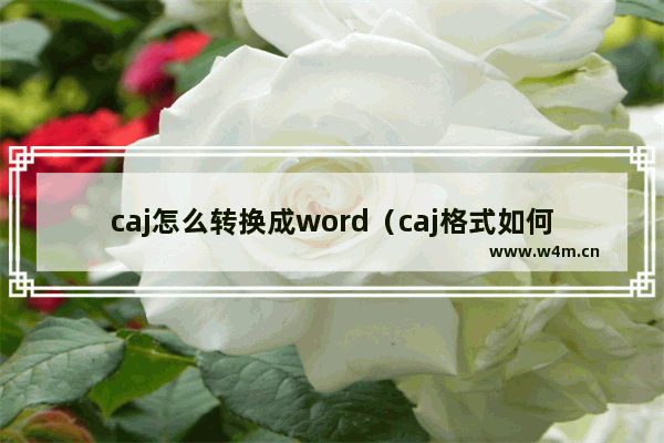 caj怎么转换成word（caj格式如何转换成为word文档）