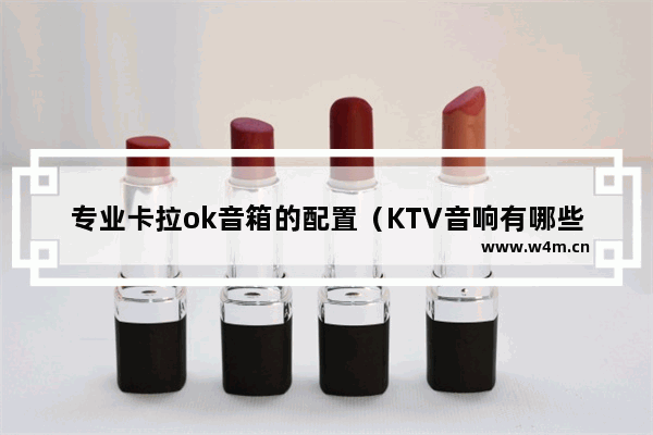 专业卡拉ok音箱的配置（KTV音响有哪些设备组成）