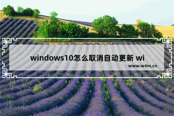 windows10怎么取消自动更新 windows10取消自动更新的方法