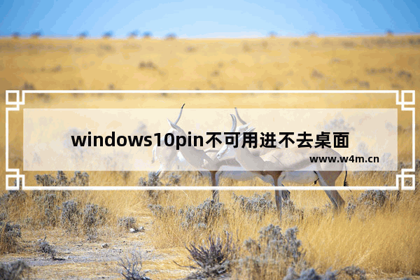 windows10pin不可用进不去桌面怎么办 windows10pin不可用进不去桌面解决办法