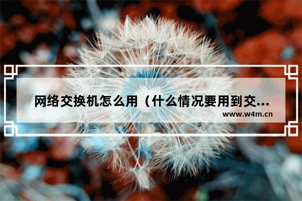 网络交换机怎么用（什么情况要用到交换机）