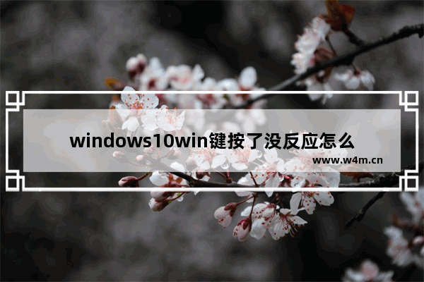 windows10win键按了没反应怎么办 windows10win键按了没反应解决办法