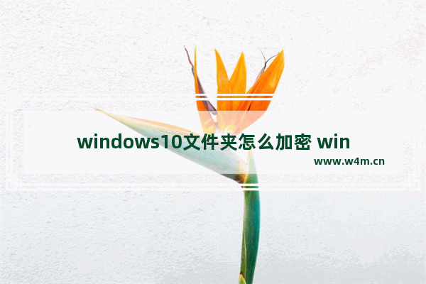 windows10文件夹怎么加密 windows10文件夹加密教程