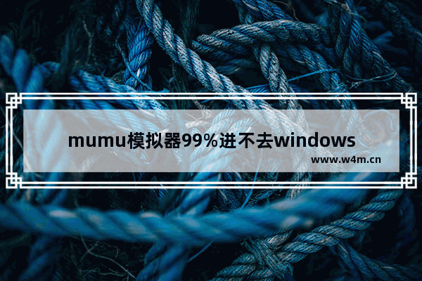 mumu模拟器99%进不去windows7怎么办 mumu模拟器99%进不去windows7解决方法