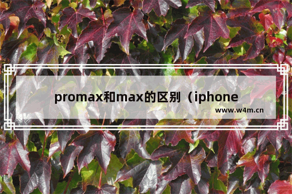 promax和max的区别（iphone14pro好还是max好）