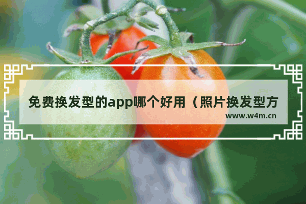 免费换发型的app哪个好用（照片换发型方法分享）