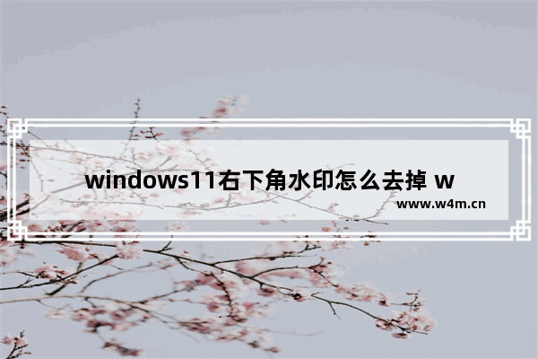 windows11右下角水印怎么去掉 windows11右下角水印去掉教程