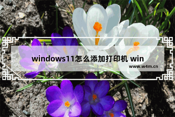 windows11怎么添加打印机 windows11添加打印机教程