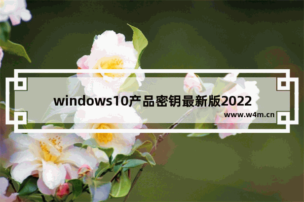 windows10产品密钥最新版2022 windows10产品密钥免费激活