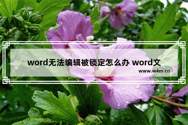 word无法编辑被锁定怎么办 word文档保护取消方法