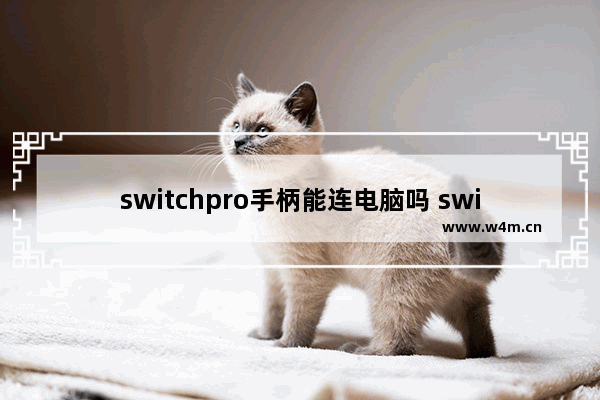 switchpro手柄能连电脑吗 switchpro手柄连接电脑教程