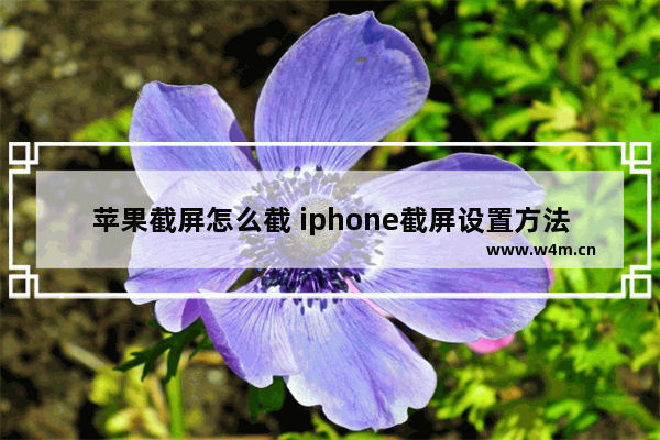 苹果截屏怎么截 iphone截屏设置方法