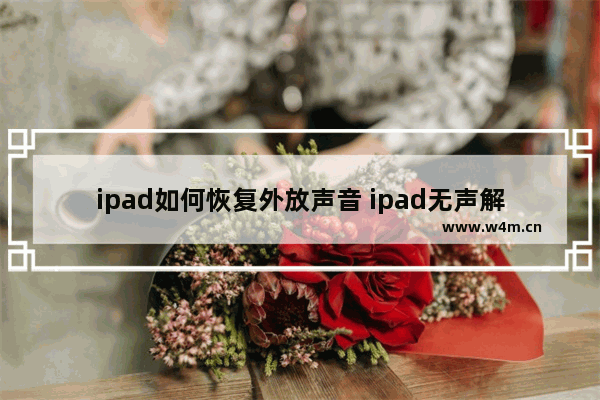 ipad如何恢复外放声音 ipad无声解决技巧