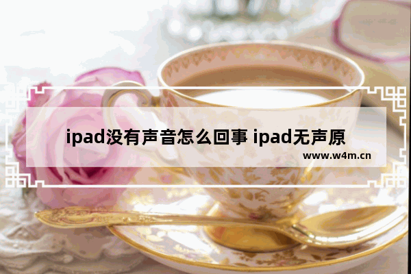 ipad没有声音怎么回事 ipad无声原因及解决办法