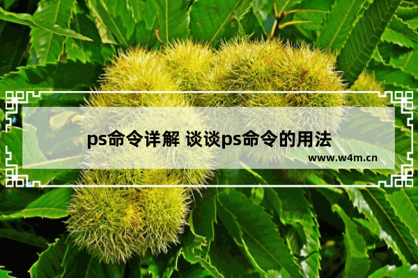 ps命令详解 谈谈ps命令的用法