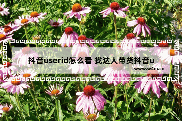 抖音userid怎么看 找达人带货抖音uid的作用