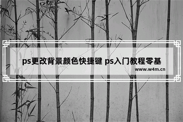 ps更改背景颜色快捷键 ps入门教程零基础