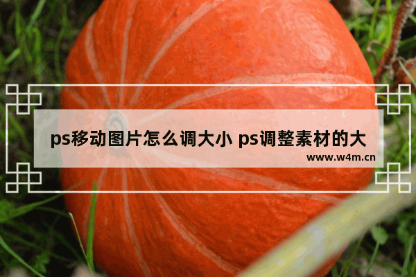 ps移动图片怎么调大小 ps调整素材的大小方法