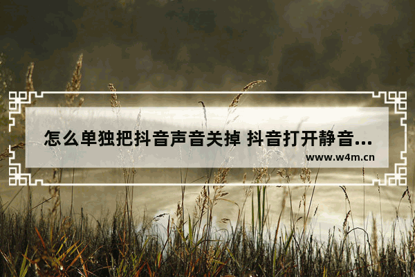 怎么单独把抖音声音关掉 抖音打开静音模式的设置