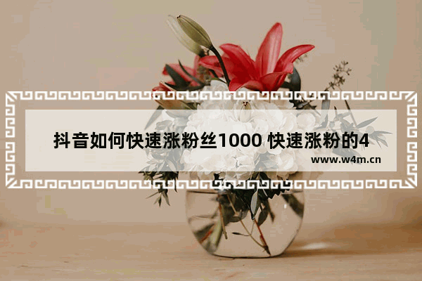 抖音如何快速涨粉丝1000 快速涨粉的4个方法