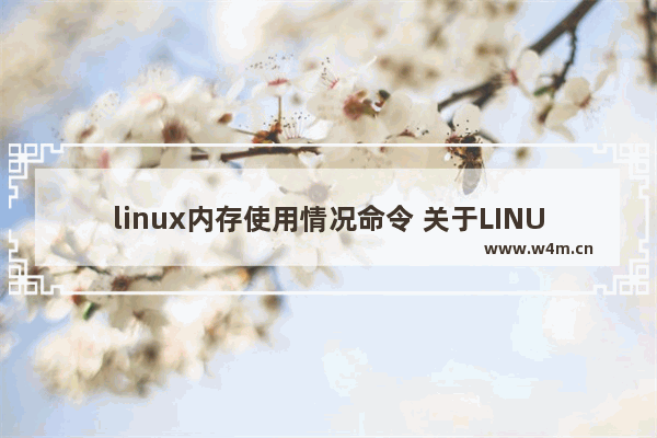 linux内存使用情况命令 关于LINUX系统内存状态查询