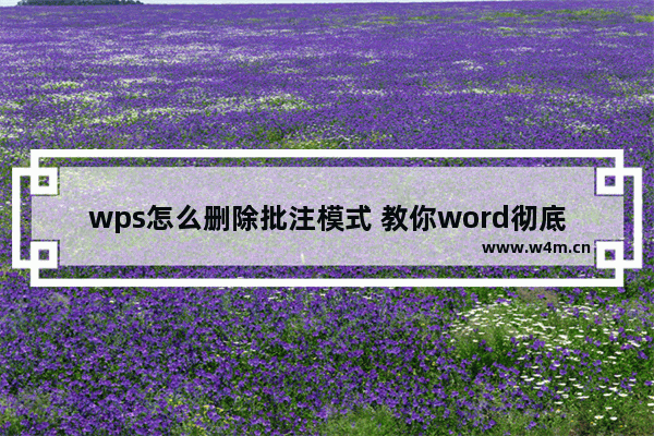 wps怎么删除批注模式 教你word彻底关闭批注模式