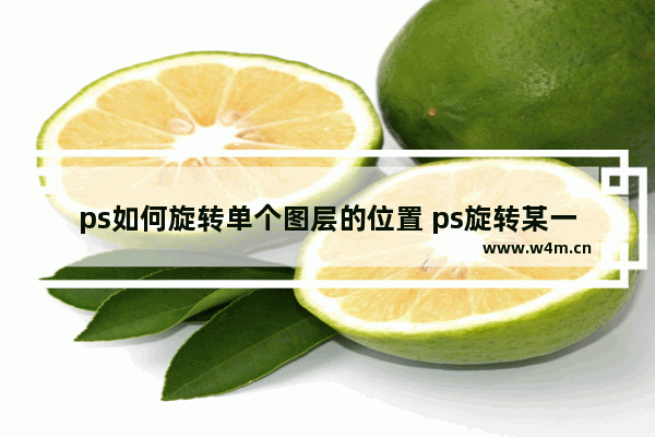 ps如何旋转单个图层的位置 ps旋转某一个图层的操作方法