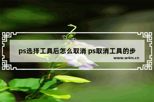 ps选择工具后怎么取消 ps取消工具的步骤