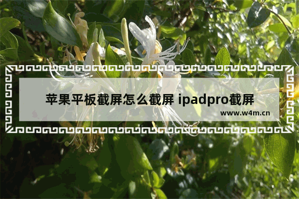 苹果平板截屏怎么截屏 ipadpro截屏快速手势