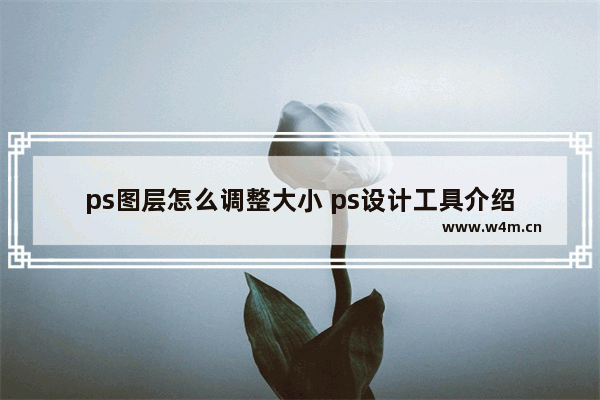 ps图层怎么调整大小 ps设计工具介绍