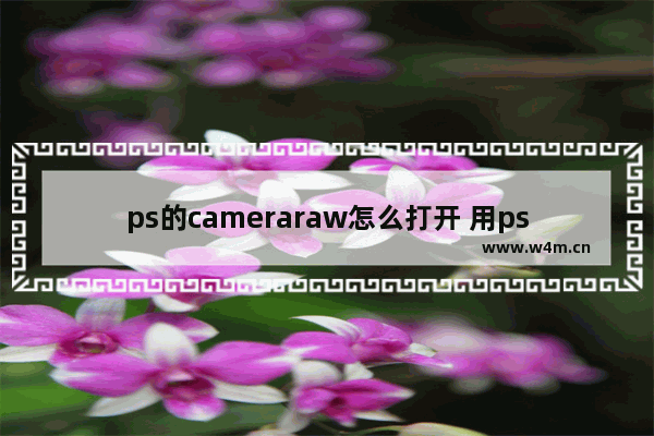 ps的cameraraw怎么打开 用ps打开raw格式要设置像素