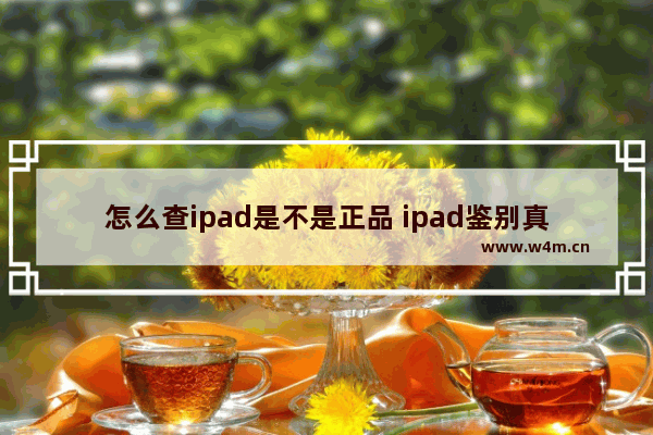 怎么查ipad是不是正品 ipad鉴别真伪查询方法