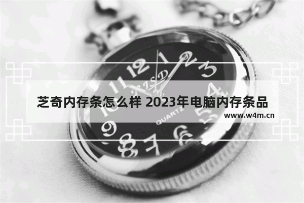 芝奇内存条怎么样 2023年电脑内存条品牌推荐