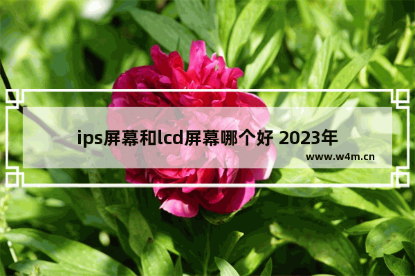 ips屏幕和lcd屏幕哪个好 2023年显示器推荐