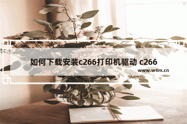 如何下载安装c266打印机驱动 c266打印机驱动安装步骤