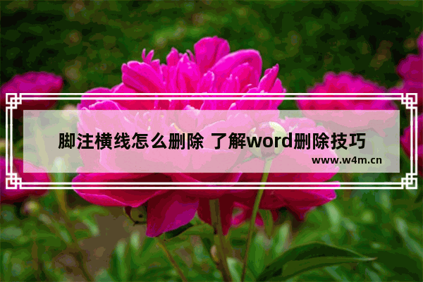 脚注横线怎么删除 了解word删除技巧