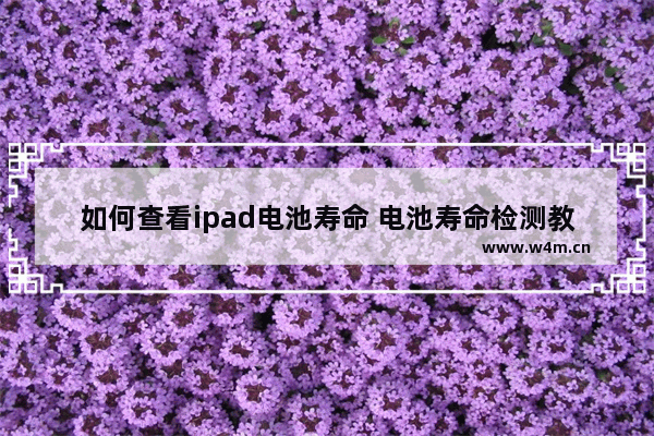 如何查看ipad电池寿命 电池寿命检测教程