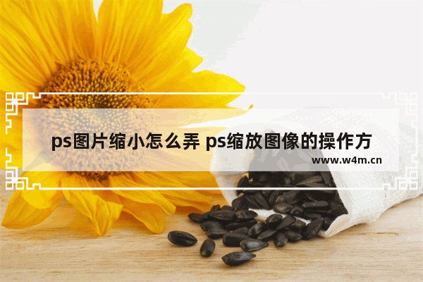 ps图片缩小怎么弄 ps缩放图像的操作方法