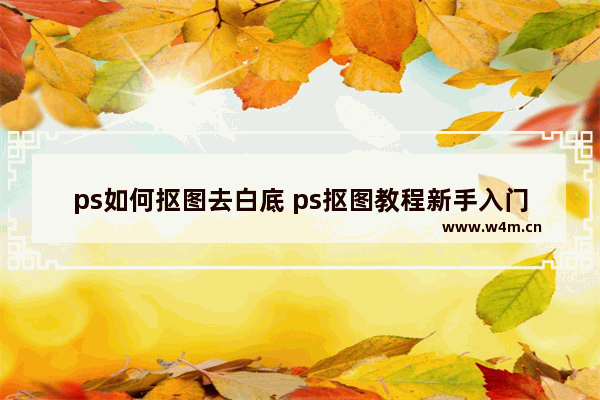 ps如何抠图去白底 ps抠图教程新手入门