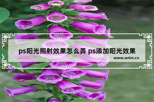 ps阳光照射效果怎么弄 ps添加阳光效果教程