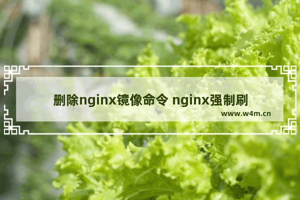 删除nginx镜像命令 nginx强制刷新缓存的教程