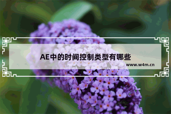 AE中的时间控制类型有哪些