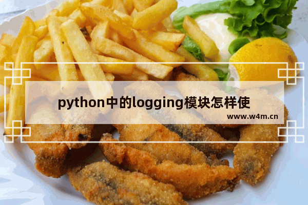 python中的logging模块怎样使用