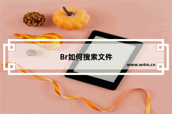 Br如何搜索文件