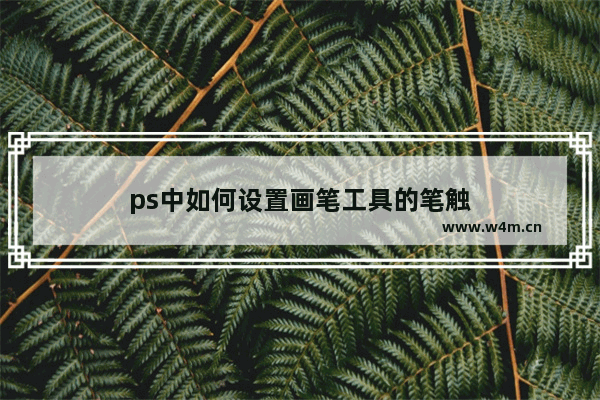 ps中如何设置画笔工具的笔触